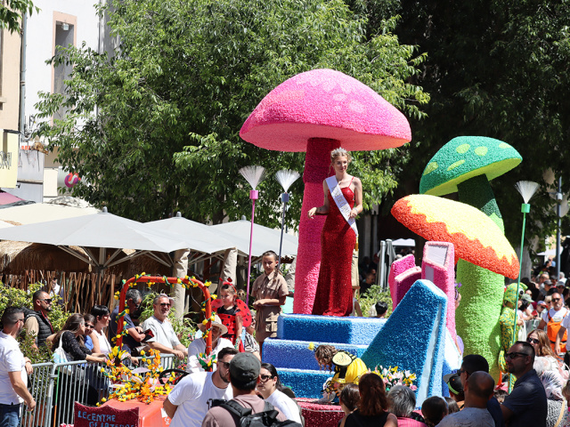 Cavaillon_2025_20250529_151800