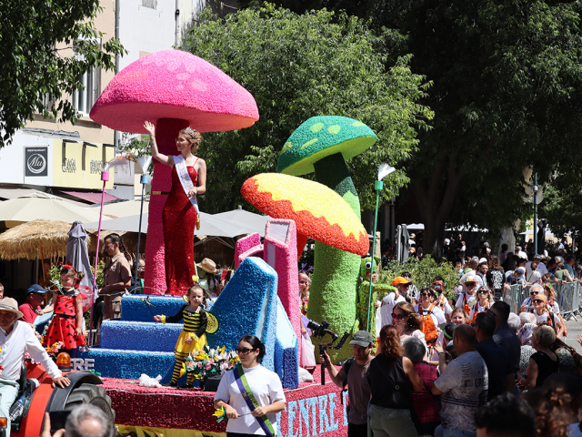 Cavaillon_2025_20250529_151900