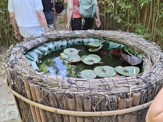 Cavaillon_2025_20250531_101930