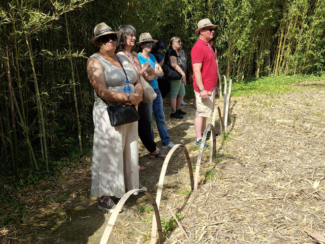 Cavaillon_2025_20250531_102444