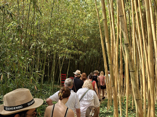 Cavaillon_2025_20250531_104251