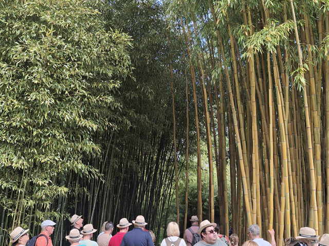 Cavaillon_2025_20250531_105426