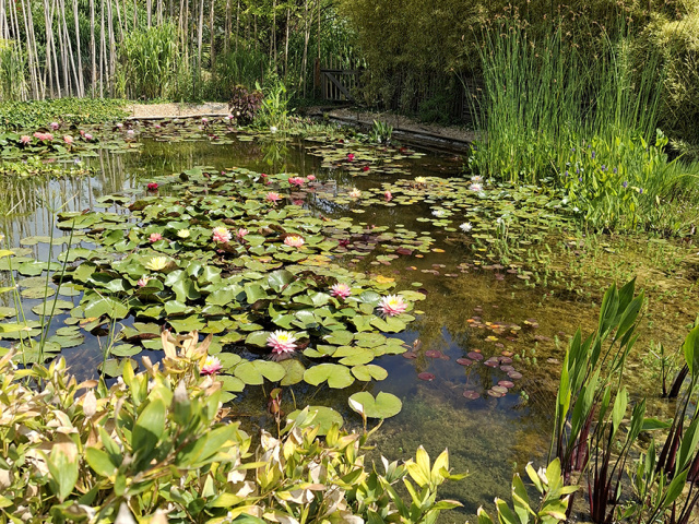 Cavaillon_2025_20250531_114704