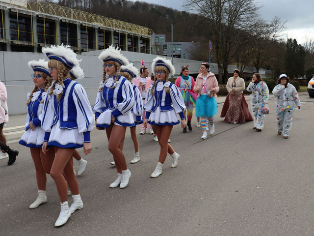 Umzug Neckargemünd 2025