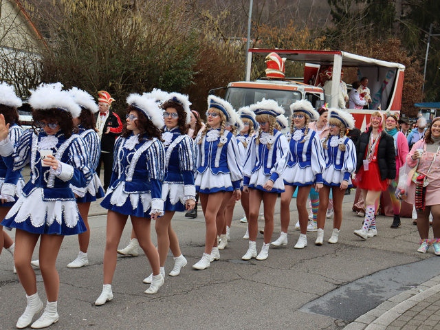 Umzug Neckargemünd 2025