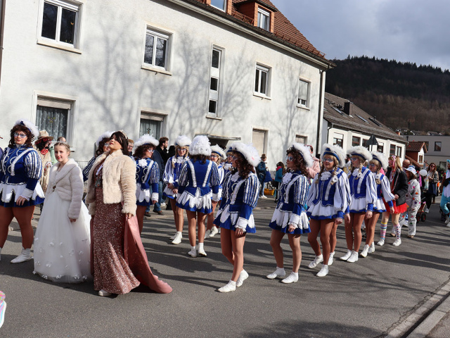 Umzug Neckargemünd 2025