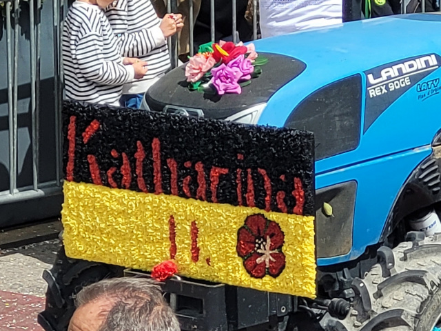 Die Blüten in Cavaillon