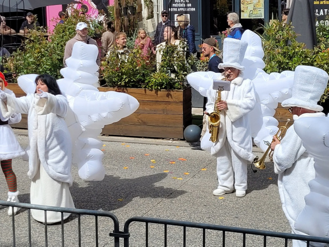 Die Blüten in Cavaillon