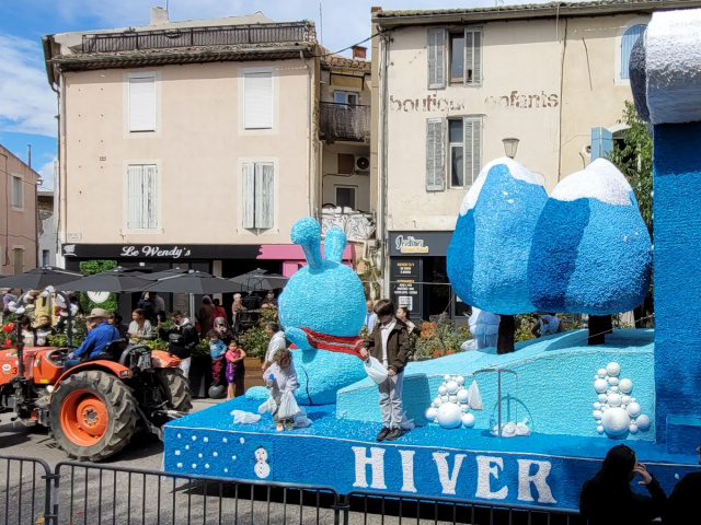 Die Blüten in Cavaillon