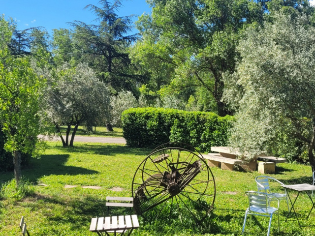 Die Blüten in Cavaillon