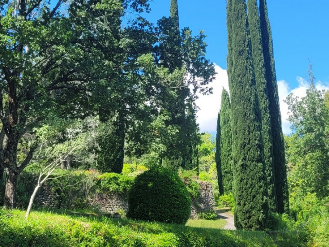Die Blüten in Cavaillon