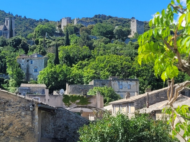Die Blüten in Cavaillon