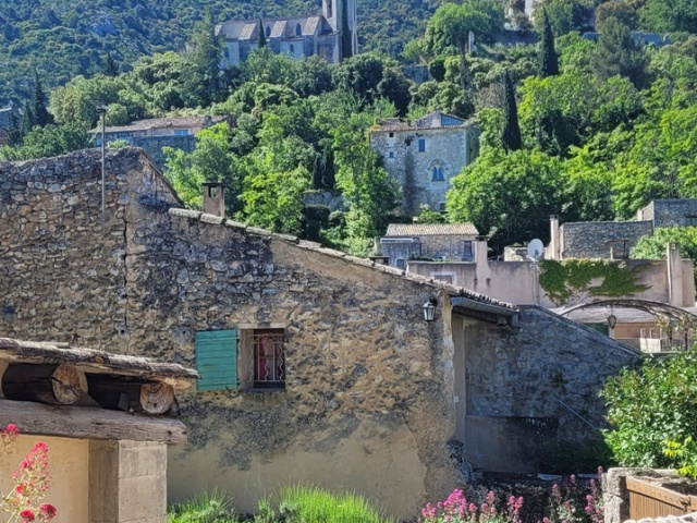 Die Blüten in Cavaillon
