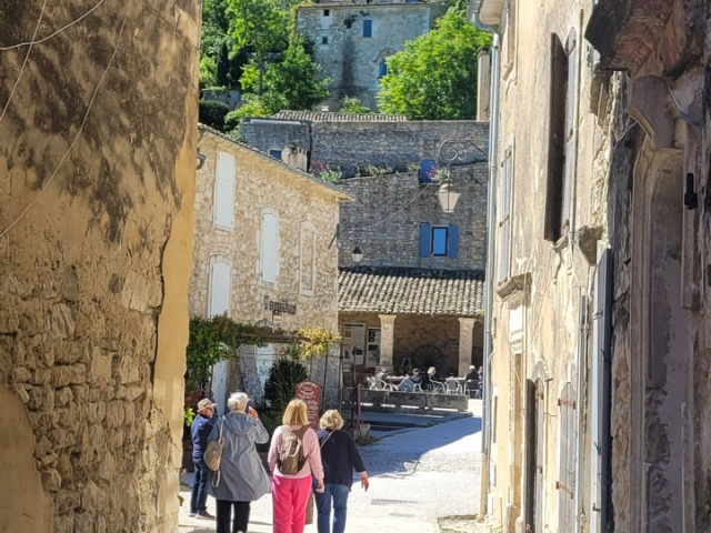 Die Blüten in Cavaillon
