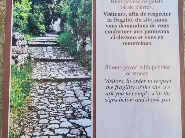 Die Blüten in Cavaillon