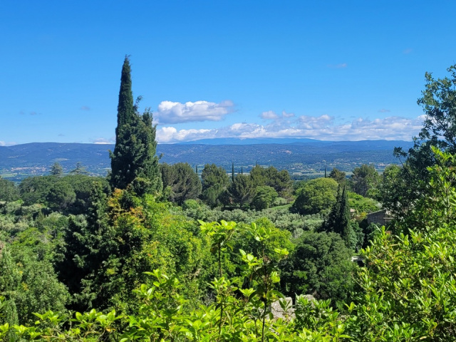 Die Blüten in Cavaillon