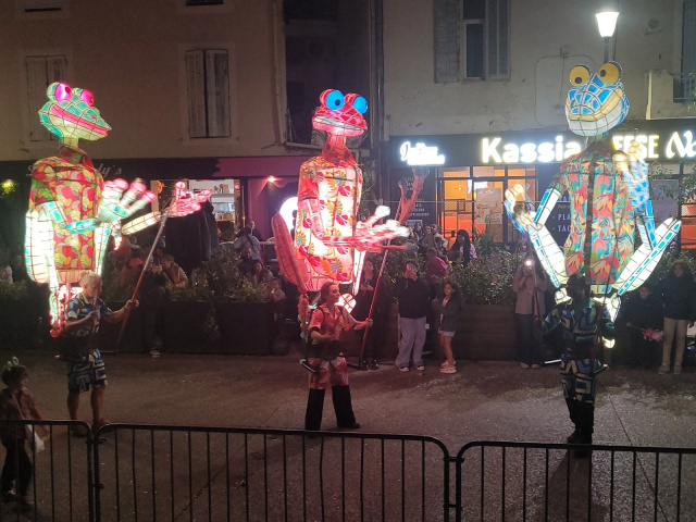 Die Blüten in Cavaillon