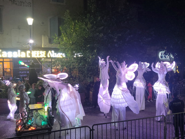 Die Blüten in Cavaillon