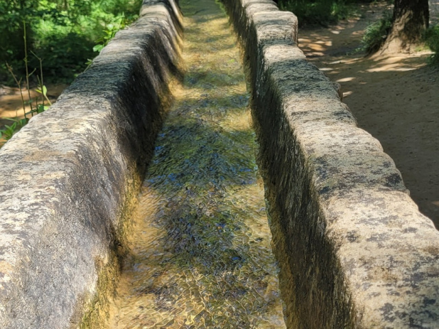 Die Blüten in Cavaillon