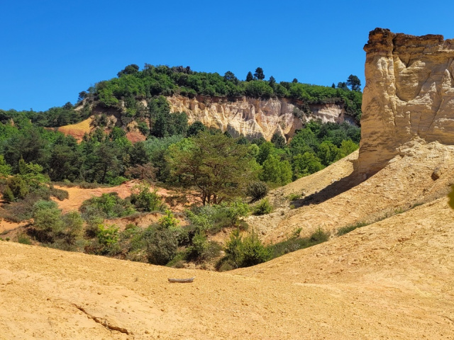 Die Blüten in Cavaillon