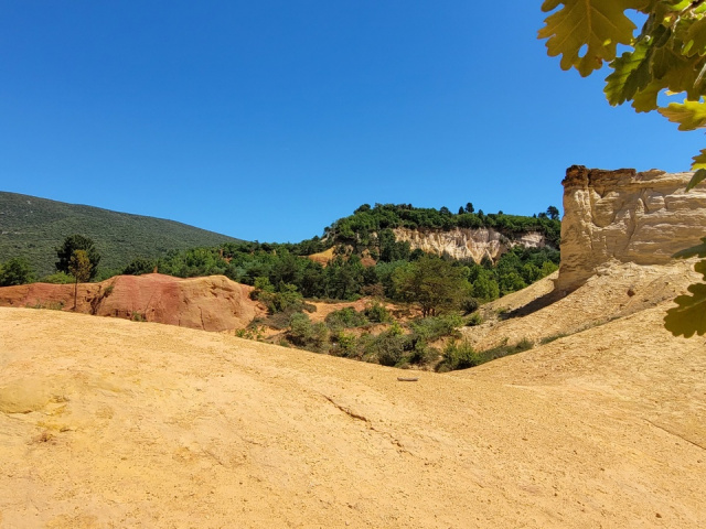 Die Blüten in Cavaillon