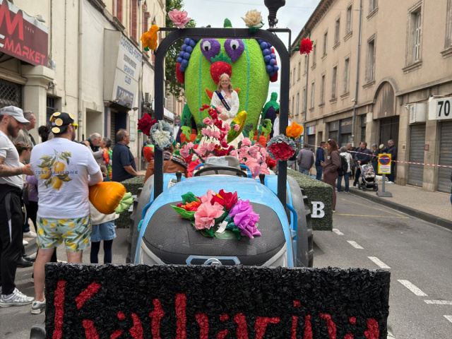 Die Blüten in Cavaillon