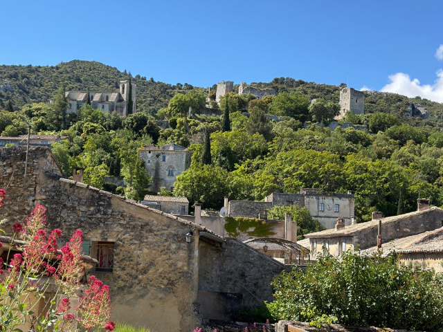 Die Blüten in Cavaillon
