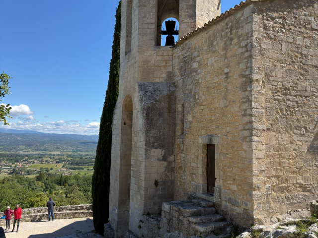 Die Blüten in Cavaillon