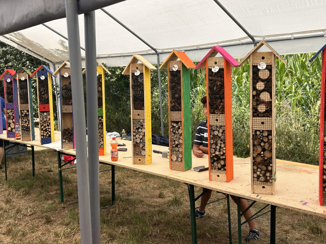 Bildergalerie &raquo; 2026 &raquo; 2026 Ferienspiele